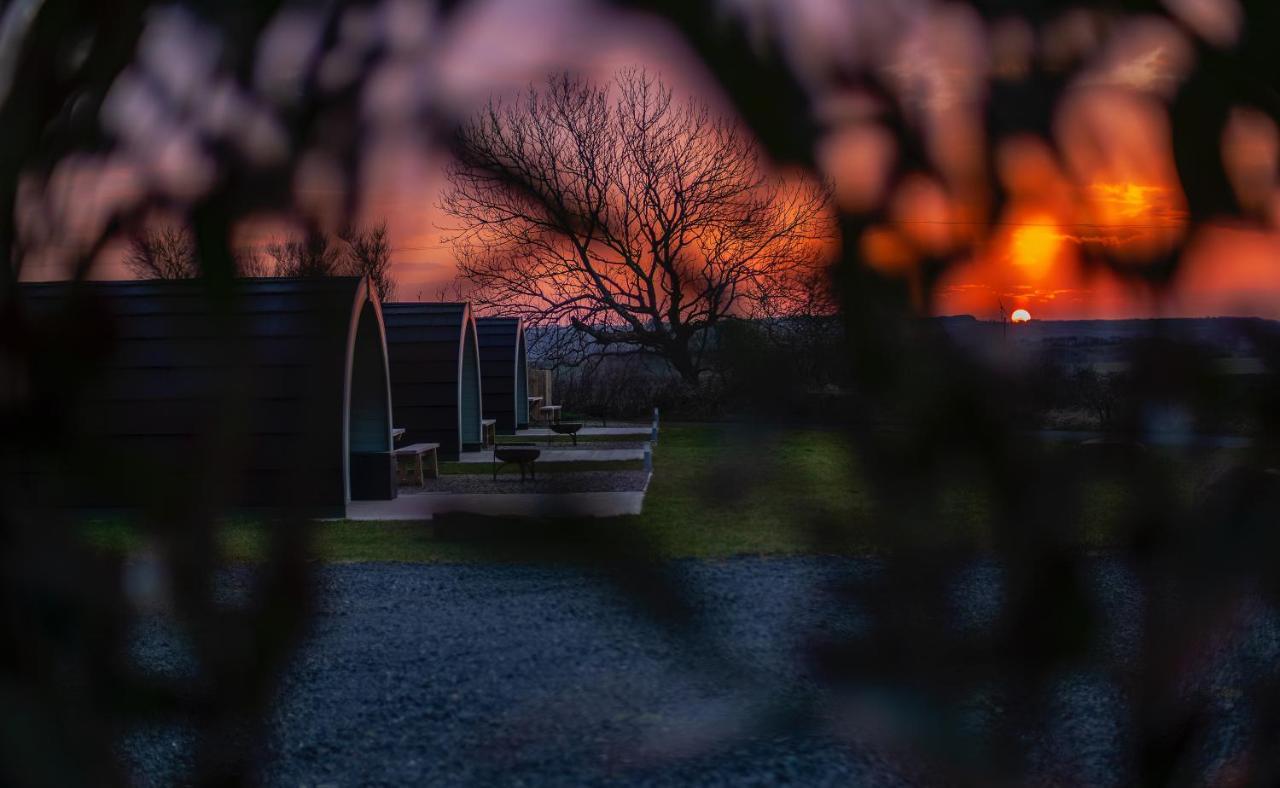 Hotel Causeway Country Pods Bushmills Zewnętrze zdjęcie